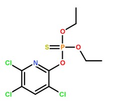 Hangzhou Norming Biological  Technology Co. Ltd