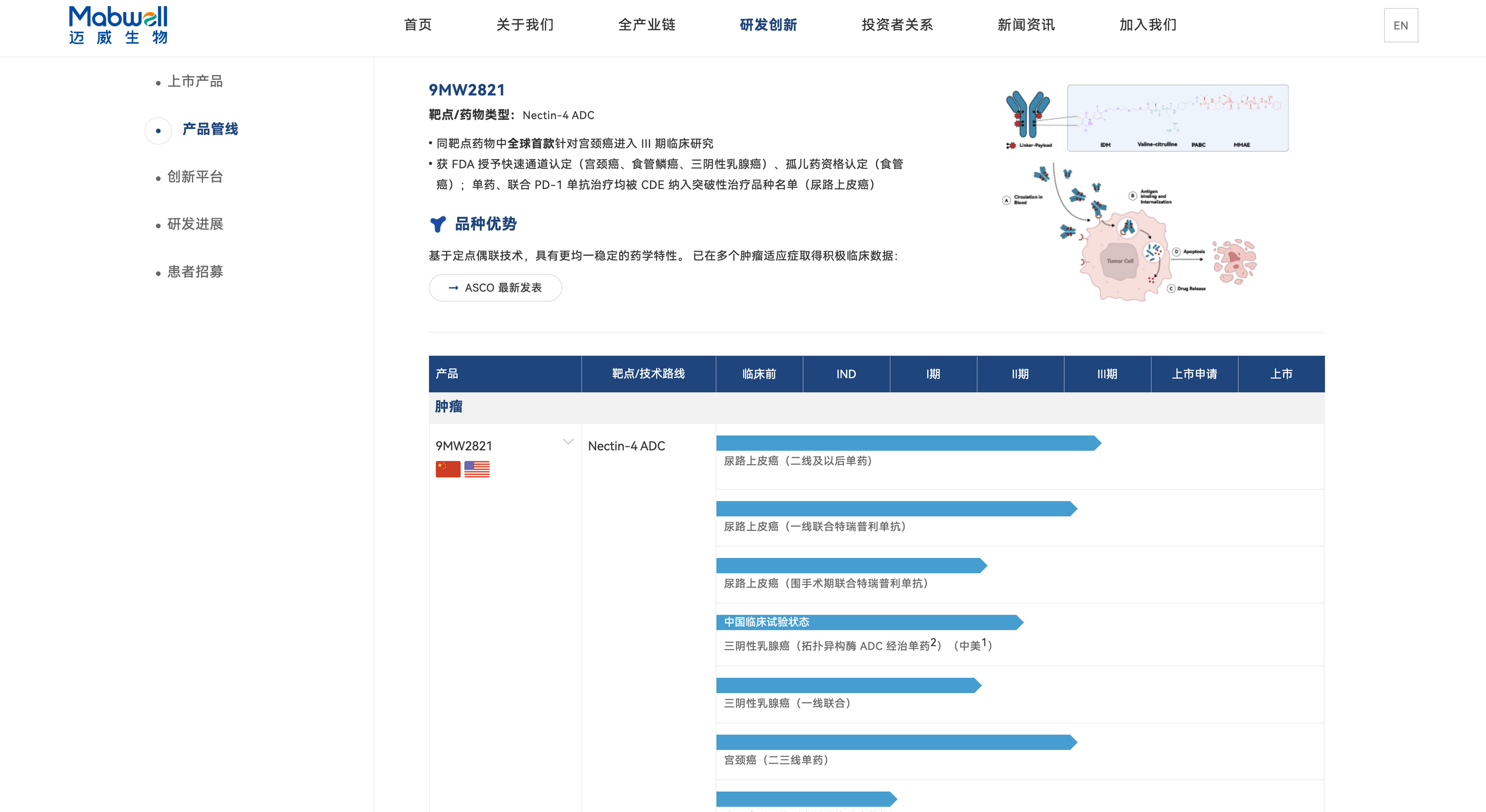 迈威生物网站建案例_生物医药壹号娱乐_上海壹号娱乐